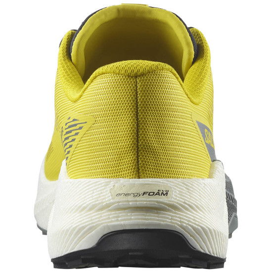 Salomon Pulsar